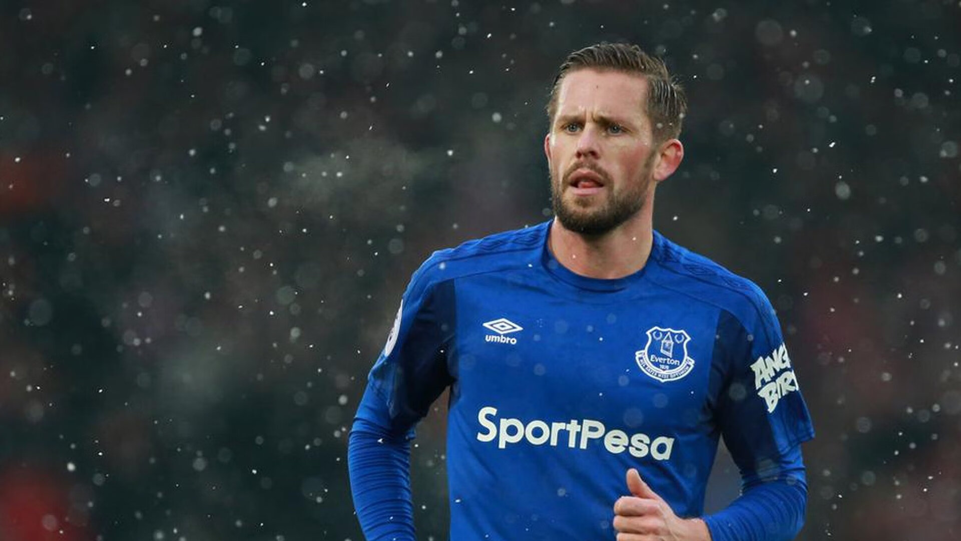 足球新闻年度排行榜